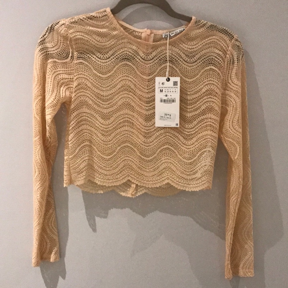 Zara Tan Long Sleeve Crop Blouse